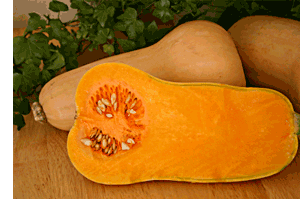 ButternutSquash